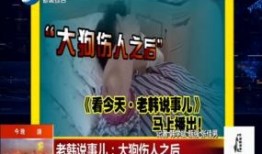沈阳精彩爆料新闻报道内容,揭秘城市生活新鲜事